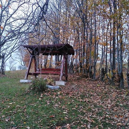 La Salasul Fermecat In Cheile Carasului Iabalcea Buitenkant foto