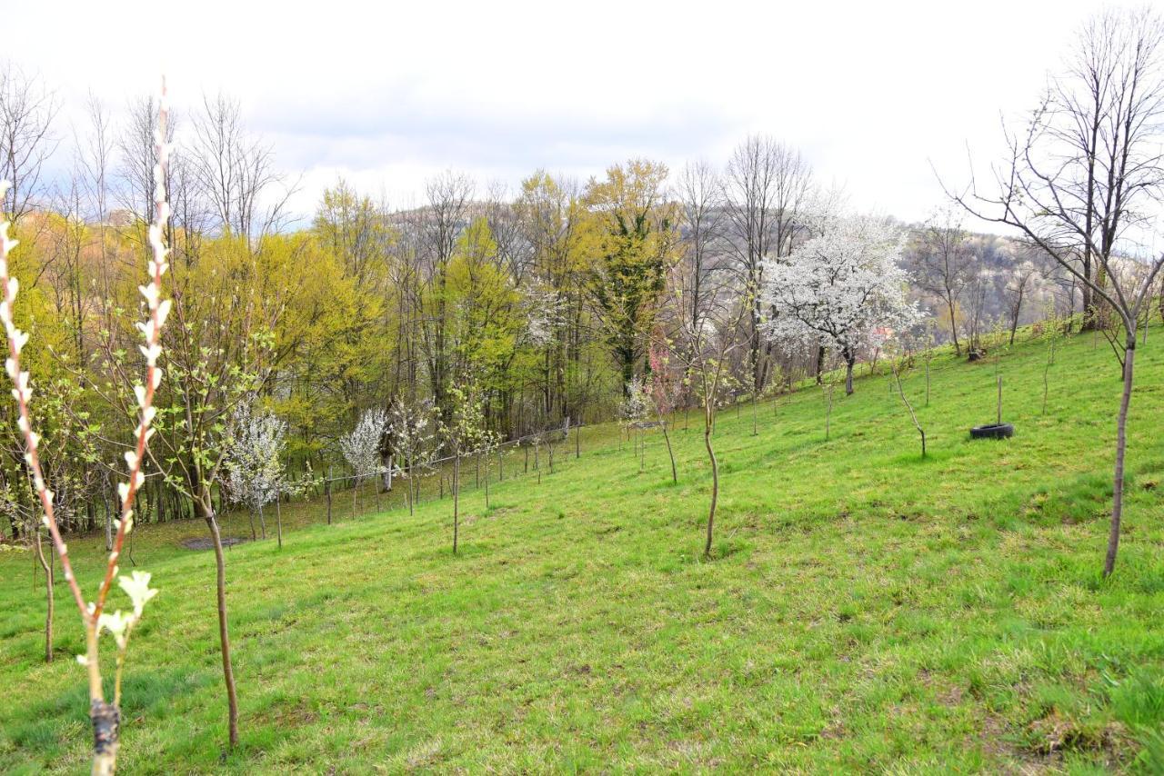 La Salasul Fermecat In Cheile Carasului Iabalcea Buitenkant foto