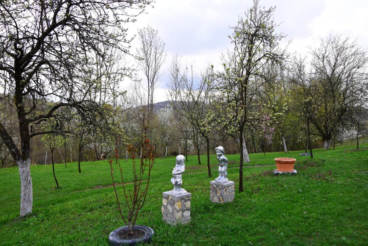 La Salasul Fermecat In Cheile Carasului Iabalcea Buitenkant foto