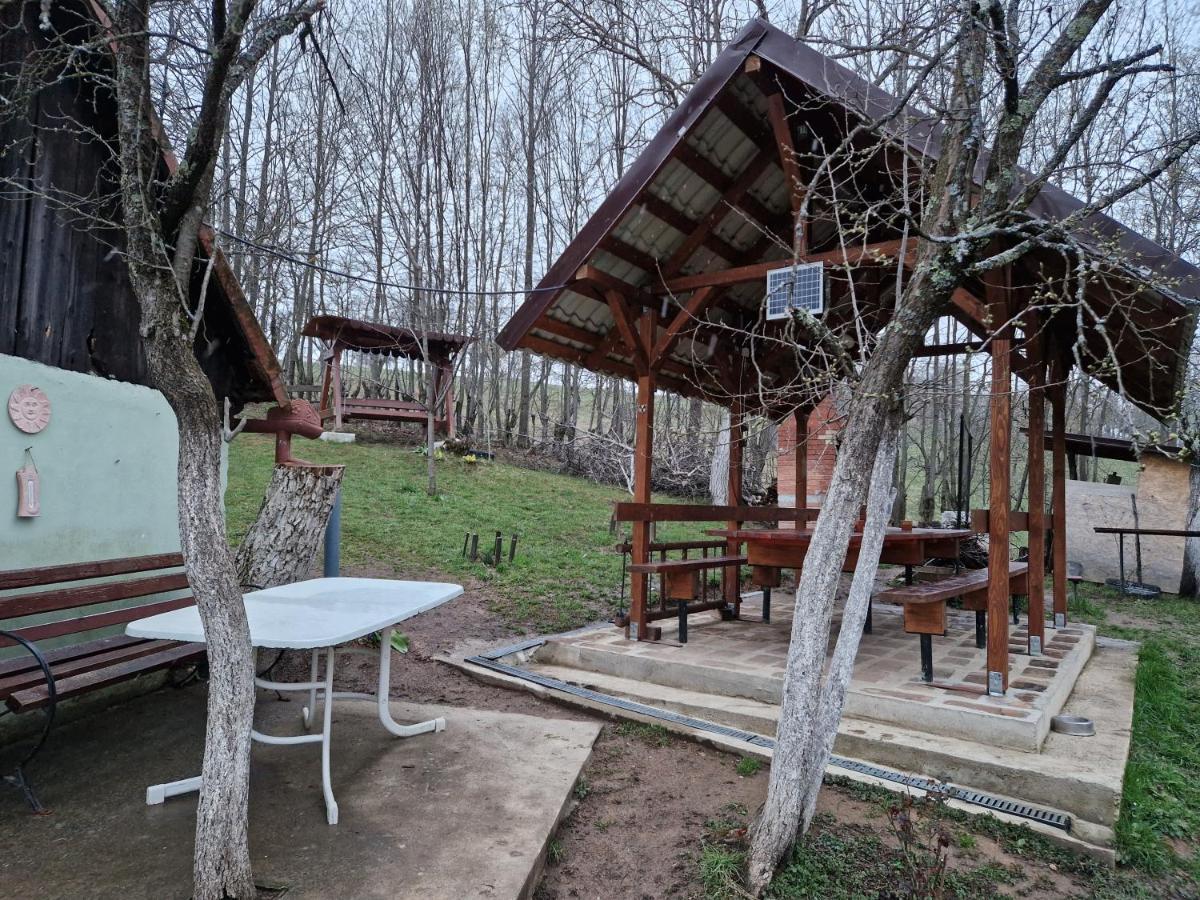 La Salasul Fermecat In Cheile Carasului Iabalcea Buitenkant foto