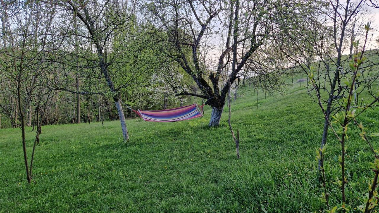 La Salasul Fermecat In Cheile Carasului Iabalcea Buitenkant foto
