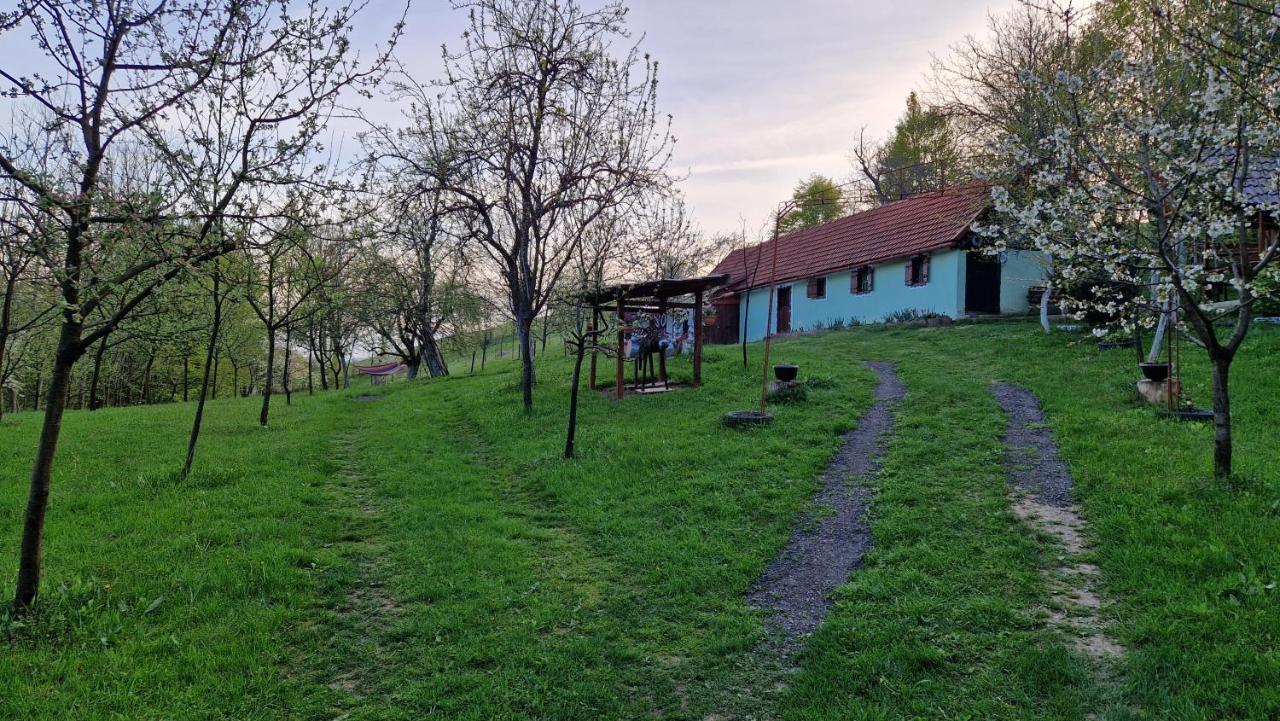 La Salasul Fermecat In Cheile Carasului Iabalcea Buitenkant foto