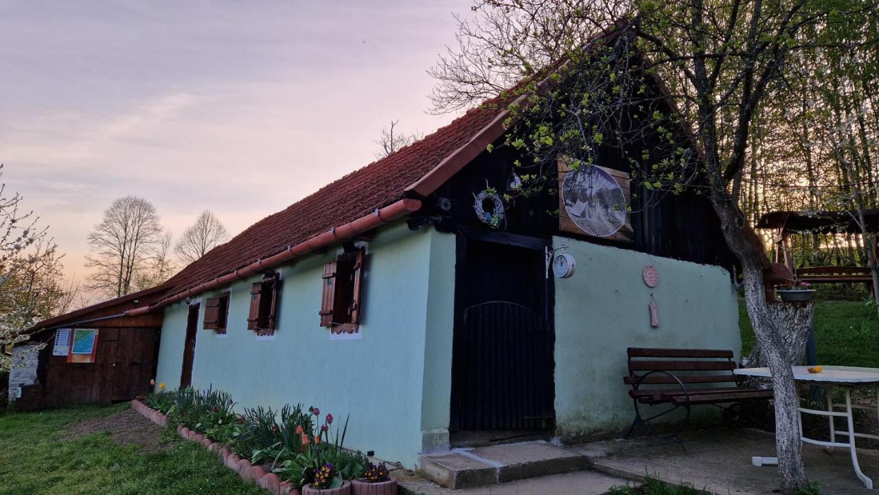 La Salasul Fermecat In Cheile Carasului Iabalcea Buitenkant foto