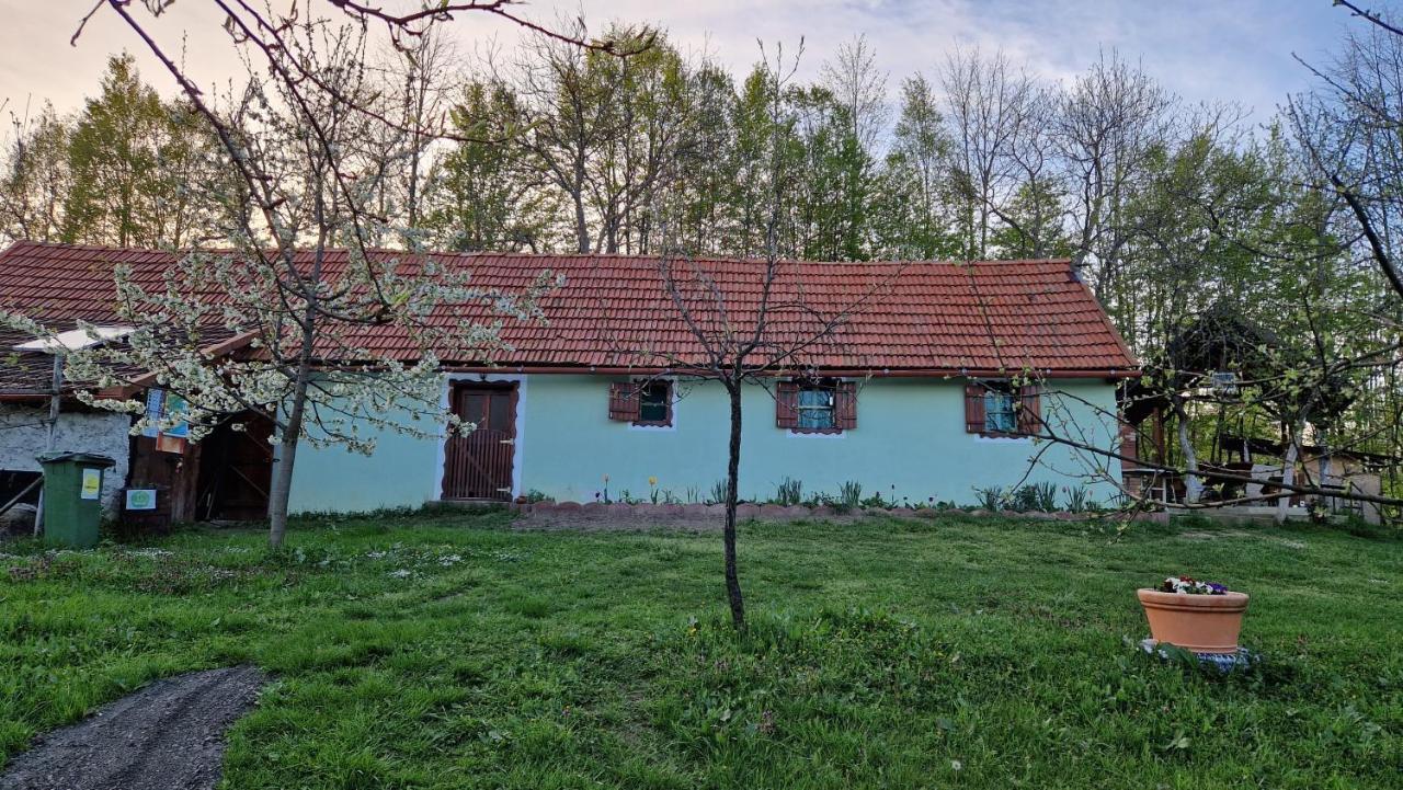 La Salasul Fermecat In Cheile Carasului Iabalcea Buitenkant foto